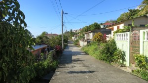 Our neighborhood in Scott's Head