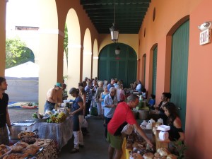 Only about 20 vendors at this small weekly farmers' market but it was bustling!