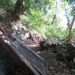 Dominica has very little indications of large-scale industry. Despite having a jungle, there is no logging. Almost everything is done at a small neighborhood scale. Portable mills were common on the side of the trail in places far from roads or any vehicle access, and no sign of a fixed sawmill.