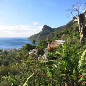 Houses on the outskirts of Gallion, overlooking the Caribbean. Typically, even these remote small houses are tended with pride and care.