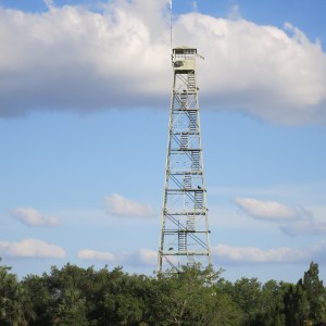 A lookout tower near Fakahatchee. Note the air conditioner box on the side and vultures roosting on the structure.