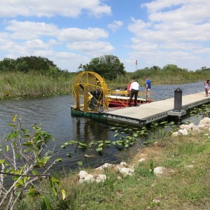 Airboats are a common way to get around the swamps because all you need to draft is a couple inches. We decided to not go on one and instead keep our hearing.