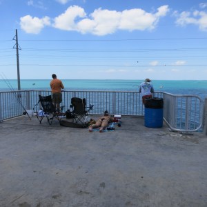 Two bridge fisherman in the Keys with a "keeper"
