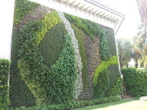 The town of Palm Beach hosts this beautiful living wall.