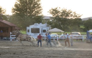 Draft horses testing their strength at Ulster County Fair