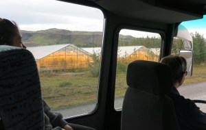 Bananas have been grown in these greenhouses (they leave the lights on 24/7 in the winter), fully heated and powered by geothermal energy. it is the furthest north bananas have been grown, just shy of the Arctic Circle