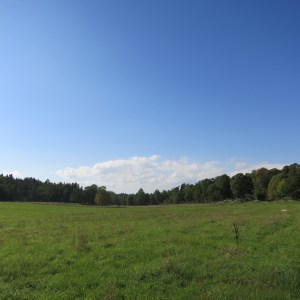 Public forest and meadows on the island on Lidingo comprised more than half the land. We appreciated the hiking trails, berry patches, and soft grassy seats.