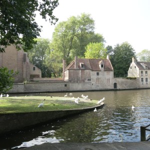 Our first view of the old center of Bruges was looking across a canal with many of swans.