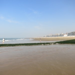 Beach at Knokke, Belgium. Large tides and shallow slope make for very long beaches. The green line across the foreground is part of a sand stabilization system.