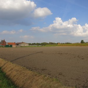 An example of the farmland around Bruges
