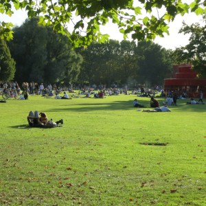 On a sunny day, this is a common scene. People pack the parks.