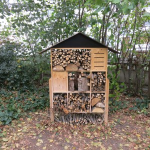 We saw many insect habitats scattered around the city, mostly in parks.