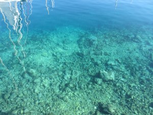 The Adriatic is a lovely turquoise blue and incredibly clear. This was in a marina looking through at least 8 meters of water.