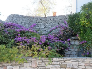 Stone roofs are common, as is bougainvillea.