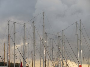 Birds on the rigging, Bodrum Harbor.