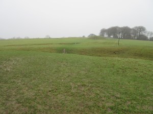 Hill of Tara in the sideways rain.