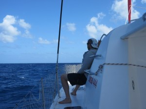 Enjoying the view and shade.