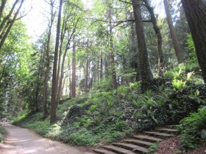 A block from where we live. There are 70+ miles of hiking trails right outside our back door.